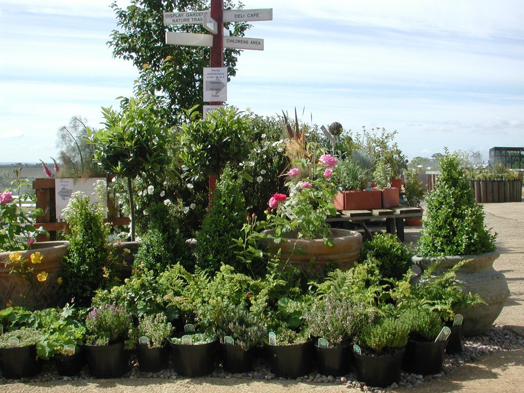 pots of herbs and ferns The National Herb Centre