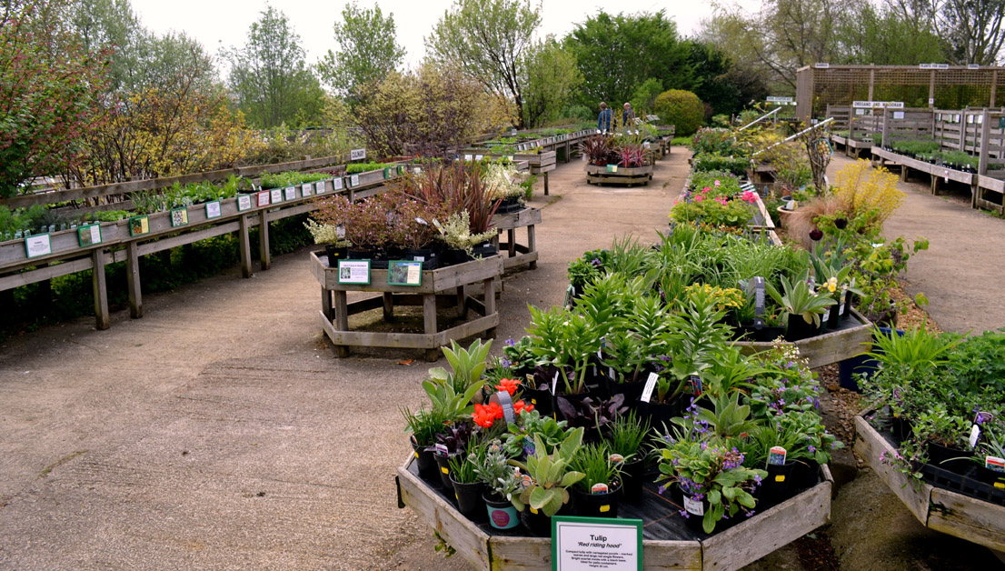 Gallery The National Herb Centre