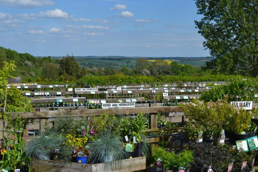 The National Herb Centre A wonderful garden centre that has something